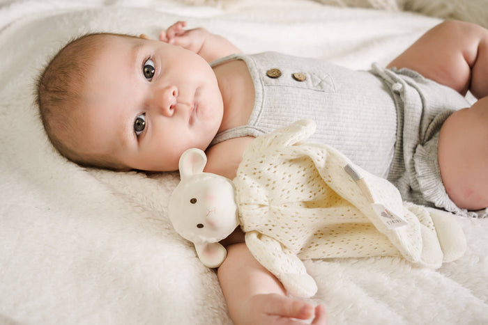 Bahbah The Lamb Teether