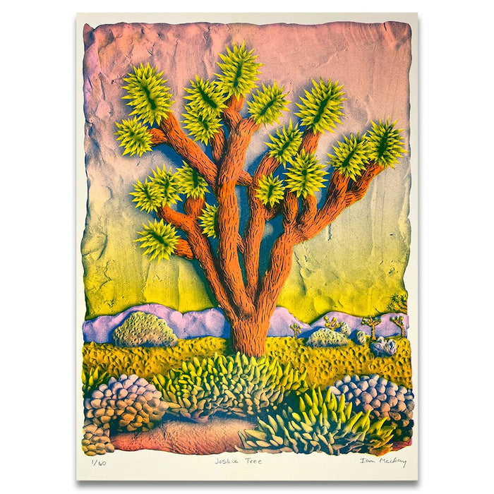 (Ian MacKay) Colorful Joshua Tree Print 11x15