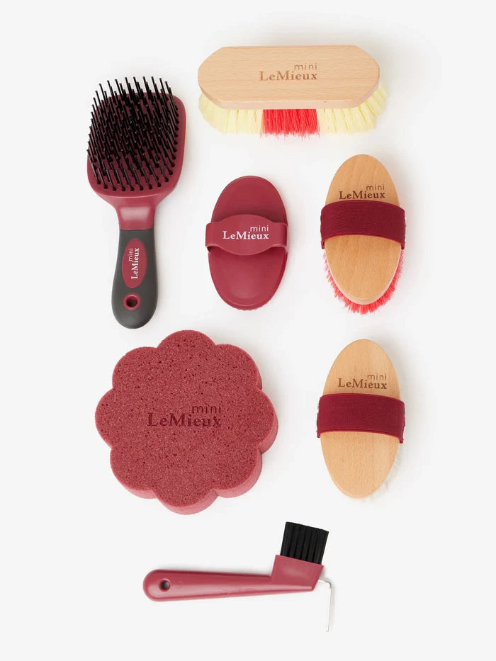 LeMieux Mini Grooming Set