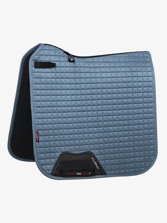 Large / Ice Blue