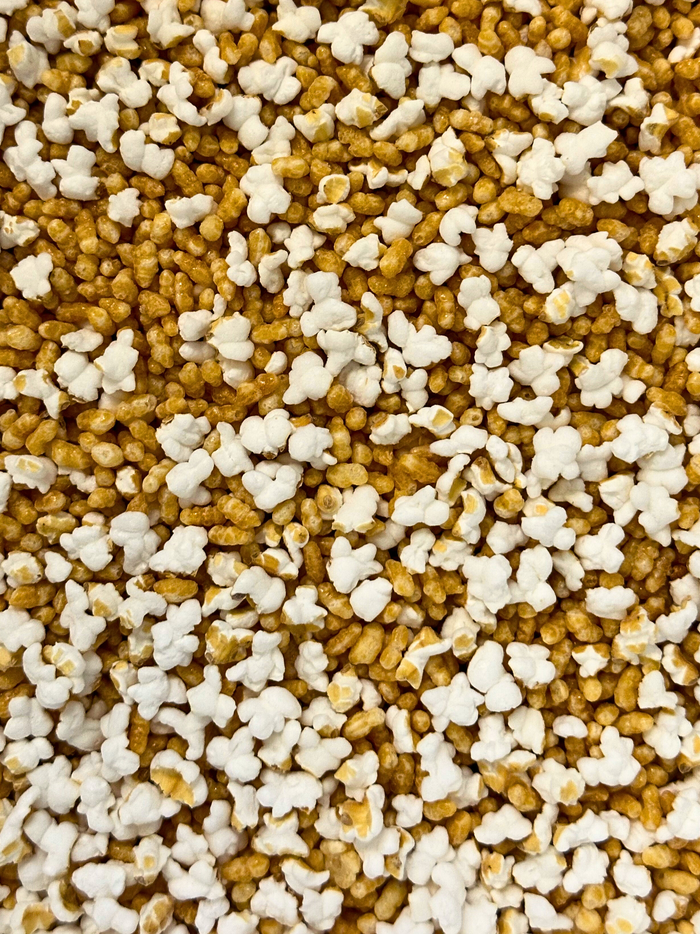 Organic Roasted Popcorn Rice Tea