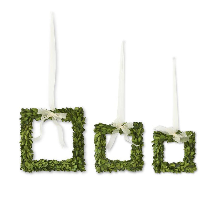 Square Double Sided Preserved Boxwood