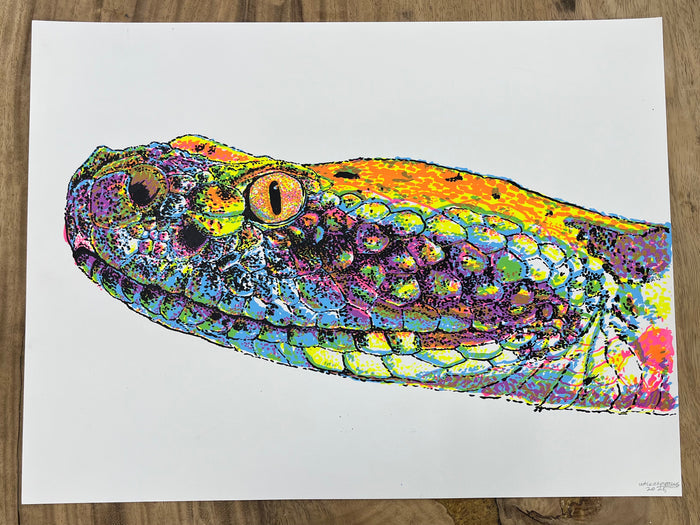 (Walker Mettling) Snake