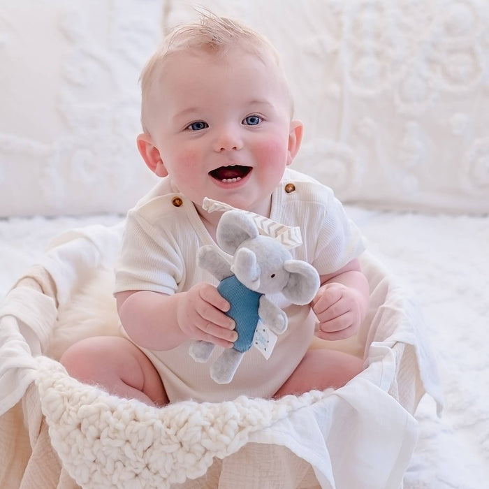 Alvin The Elephant Tag Along Pram Toy