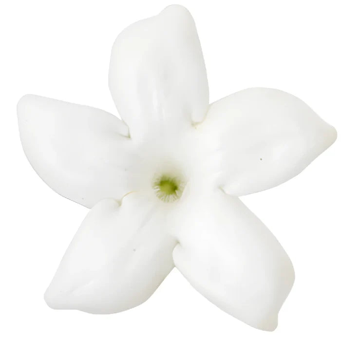 Bulk Stephanotis White Flower