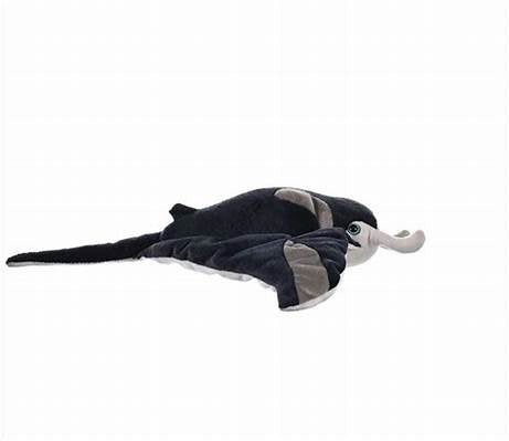 CK Manta Ray