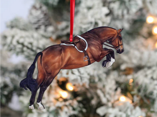 Bay Hunter Jumper Horse