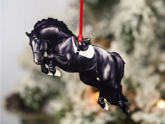 Black Hunter Jumper Horse