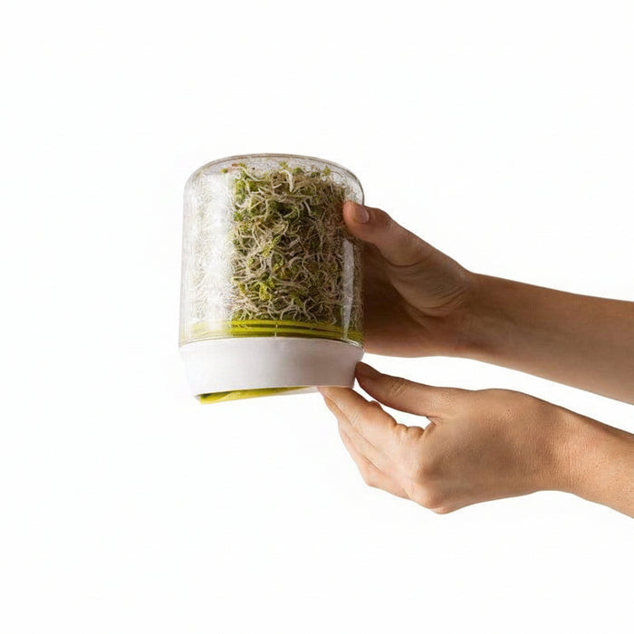 Countertop Sprouter Growing Kit - Waha Lifestyle