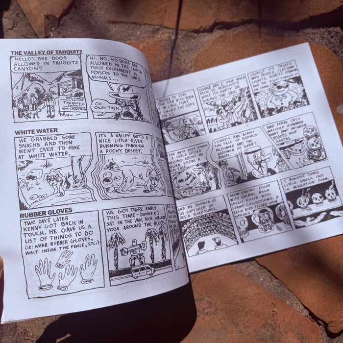 Covid Winter Desert Diary!