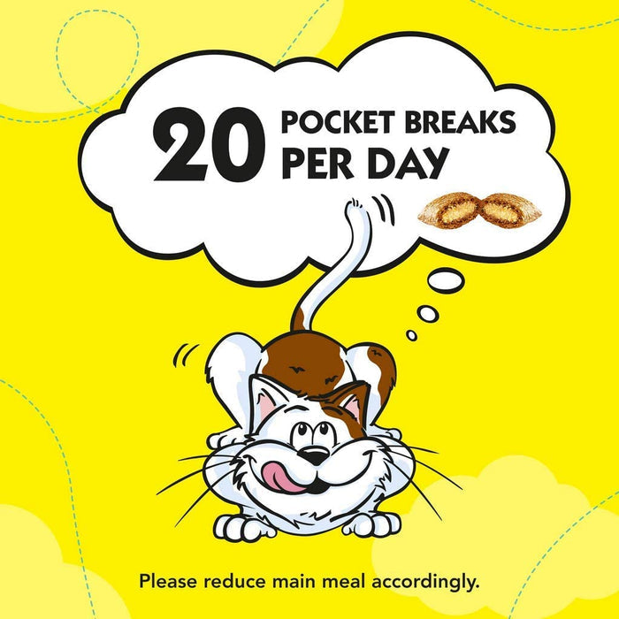 Dreamies Cat Treats Variety Pack, snacks with chicken, salmon and cheese, 12 X 60 g