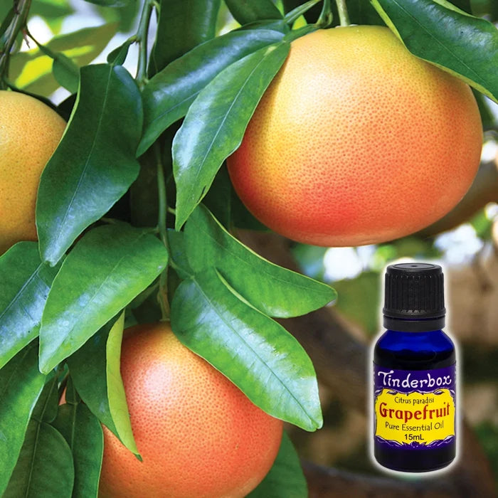 Grapefruit Essential Oil 15mL