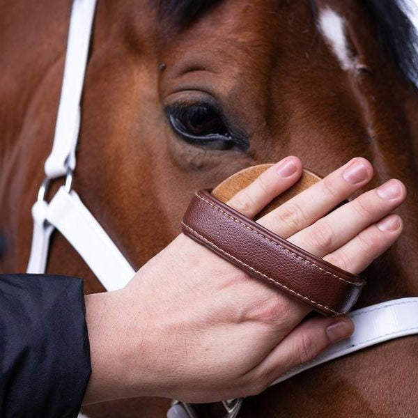 Hairy Pony Face Brush