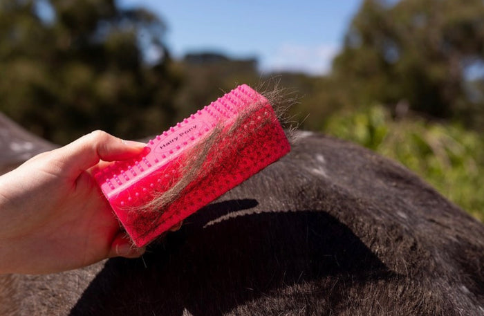 Hairy Pony Grooming Block