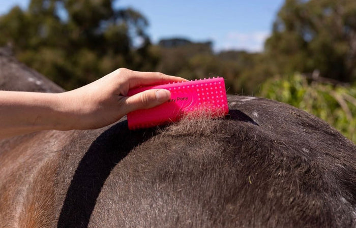 Hairy Pony Grooming Block