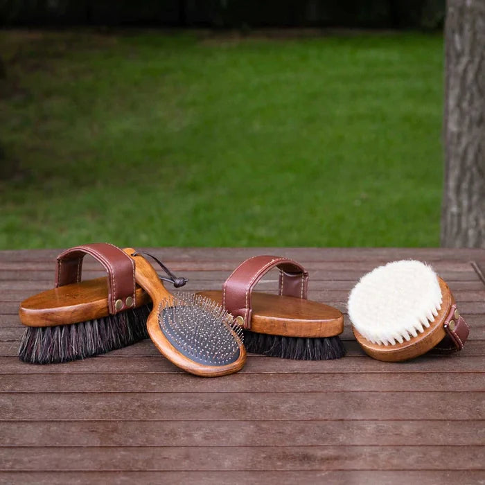 Hairy Pony Original brush kit