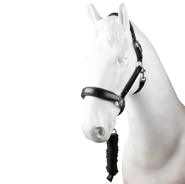 Horze Dynasty Crystal Leather Halter and Lead Set