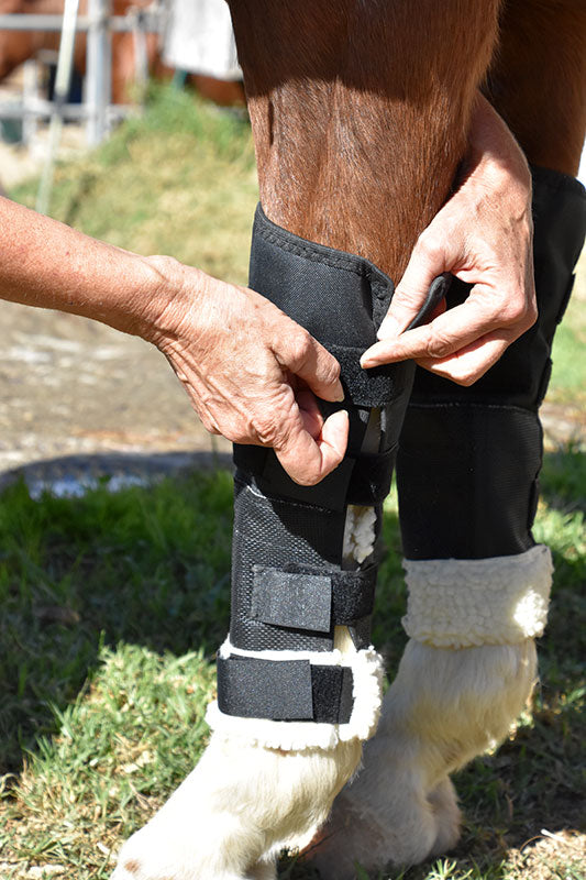Knee Shield