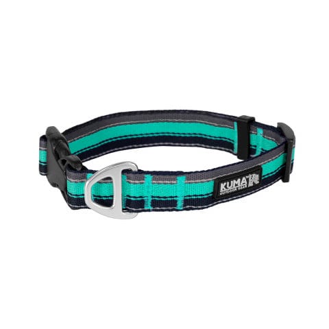 Kuma Backtrack Dog Collar