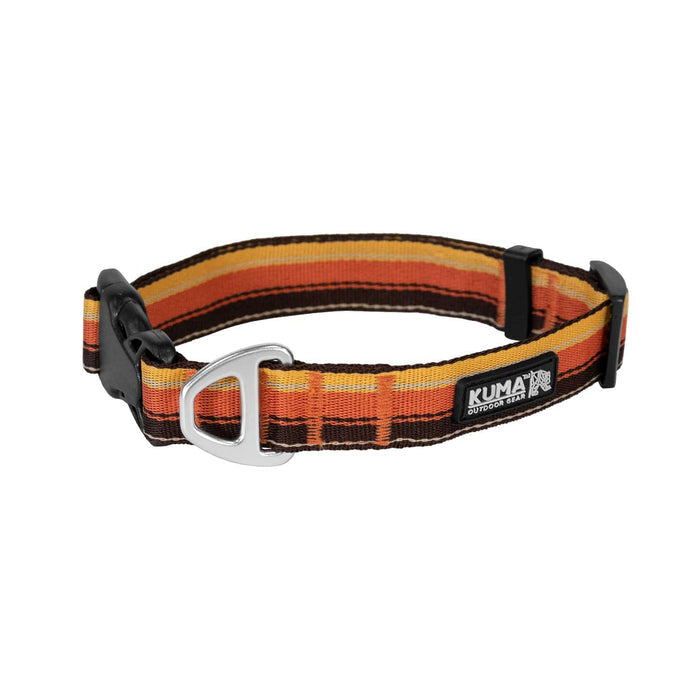 Kuma Backtrack Dog Collar