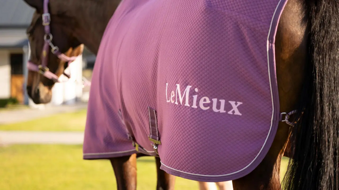 LeMieux Kudos Bamboo Cooler