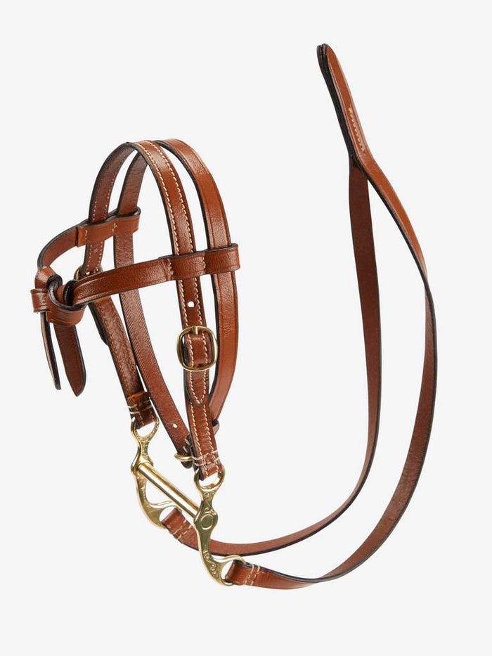 Tan Western