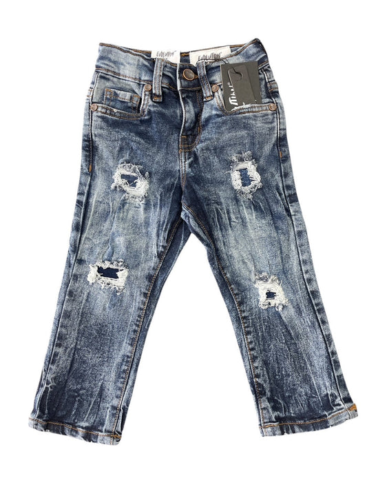 Little Kids EVOLUTION Slim Straight Standard Denim Jean