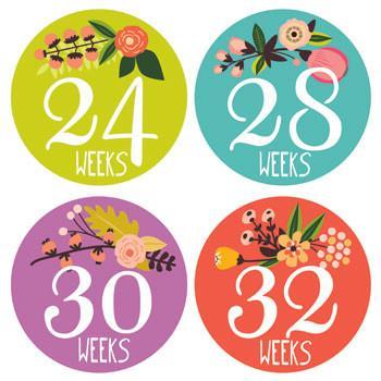 Lucy Darling Little Artist Belly Stickers