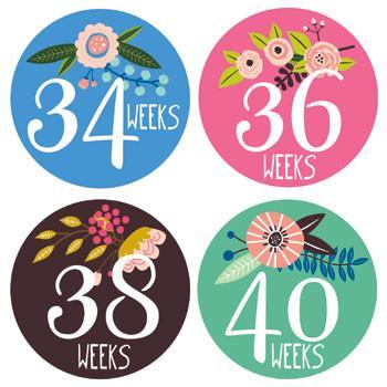 Lucy Darling Little Artist Belly Stickers