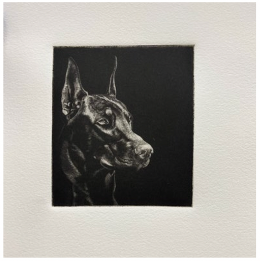 (Matthew Aceves) Doberman