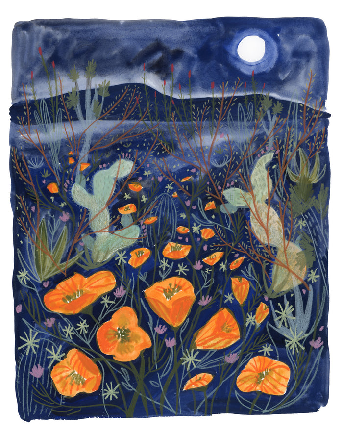 (Melissa Lakey) Moonlight Poppies print 11 x 14