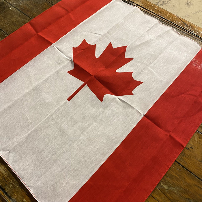 Misty Mountain Bandana