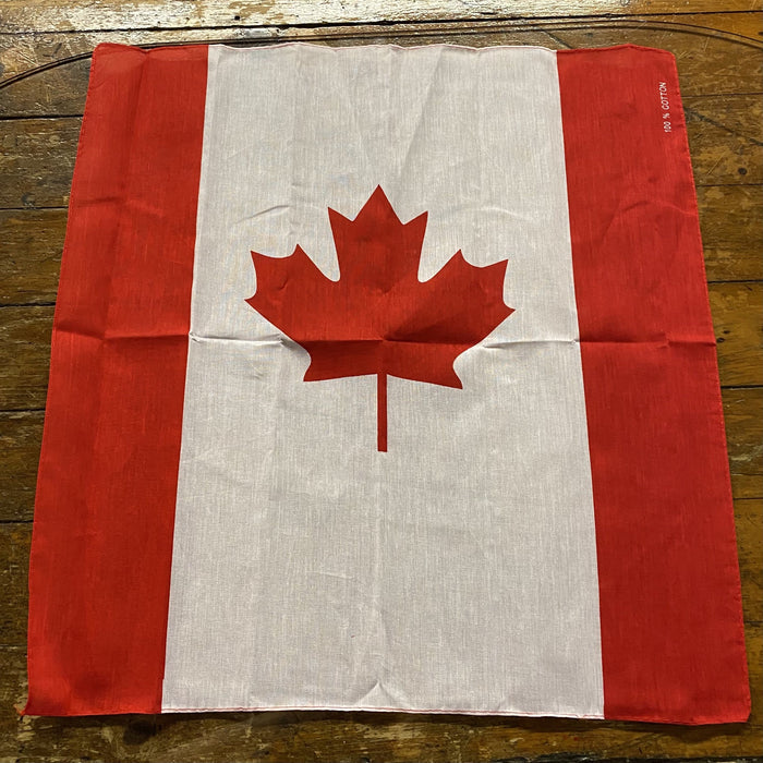 Misty Mountain Bandana