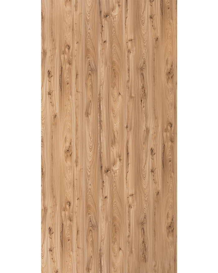 Monarch Elm  - HG 1547