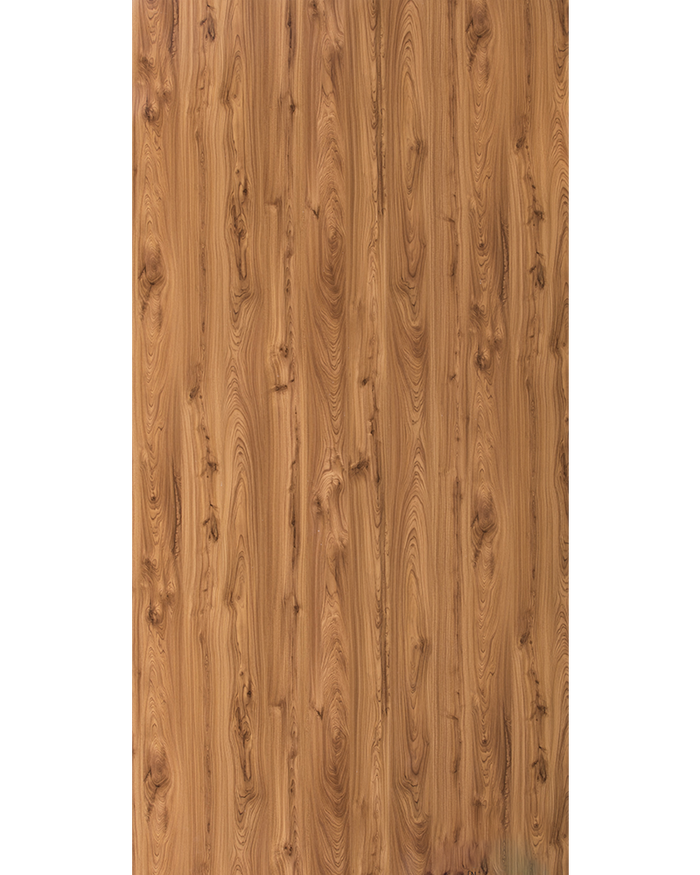 Monarch Elm  - HG 1548