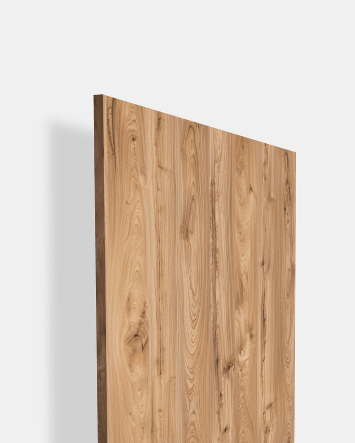 Monarch Elm - SF 1547