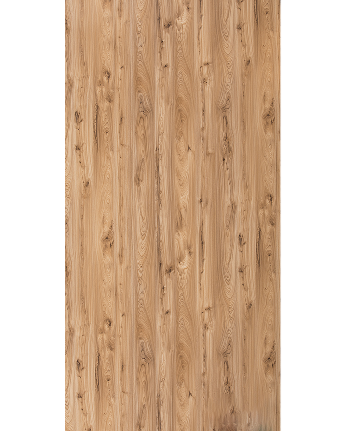 Monarch Elm - SF 1547