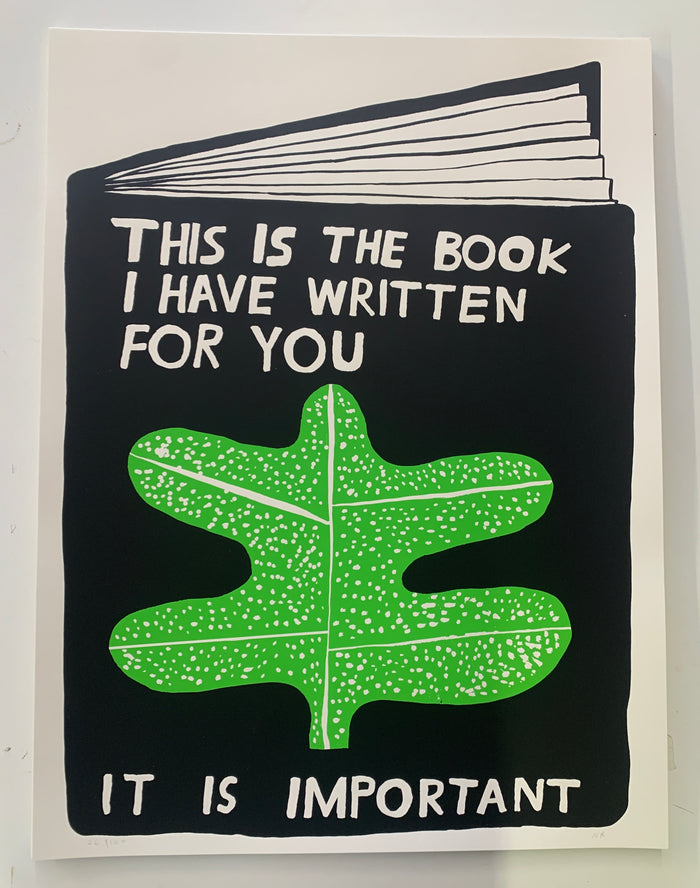 Nathaniel Russel - The Book I Have Written For You