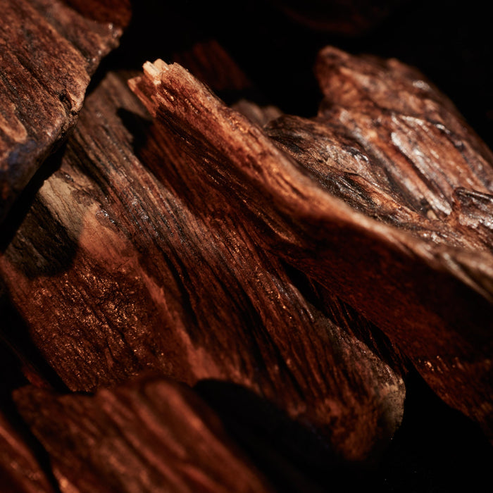 Close-up of cinnamon sticks with a dark background