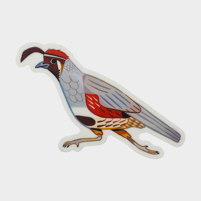 Quail Sticker