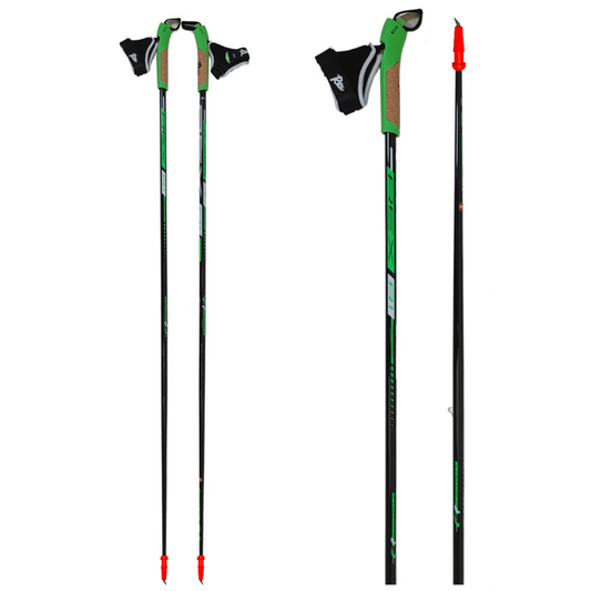 A product picture of the Rex R1 Poles (Rollerski Version)