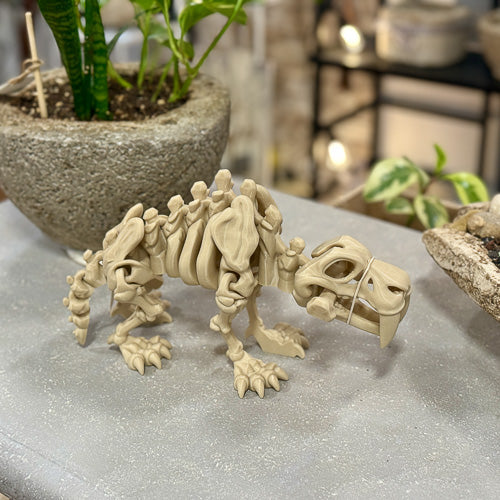 Sabertooth Skeleton