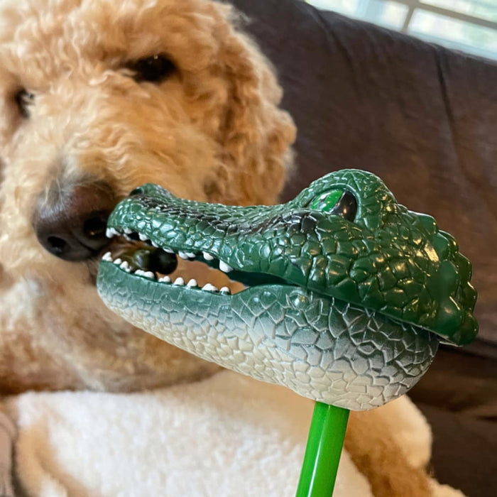 Safari Ltd. Snapper - Alligator