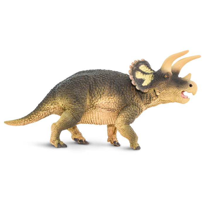 Safari Ltd. Triceratops