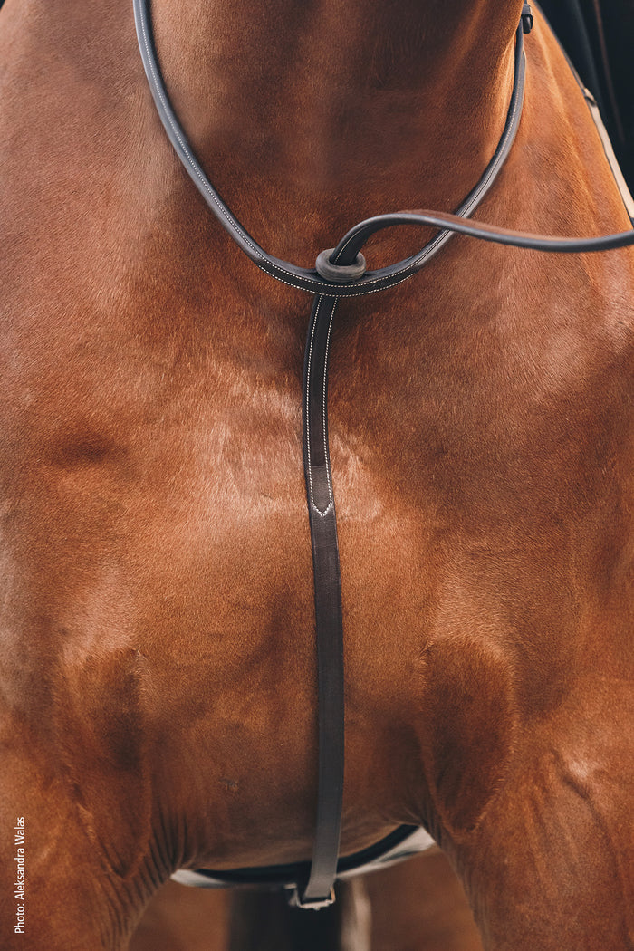 Schockemohle Santa Clara Standing Martingale