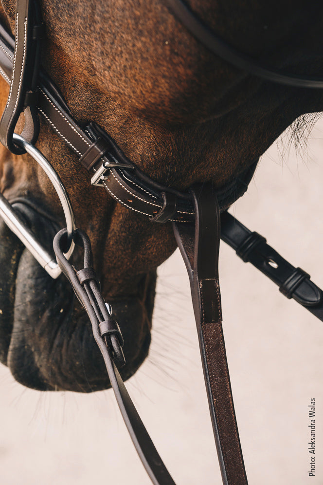 Schockemohle Santa Clara Standing Martingale