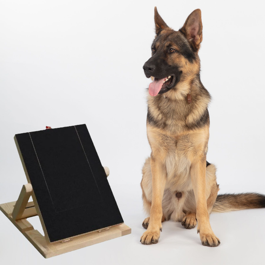 Wooden Dog Nail Scratch Board with Stand